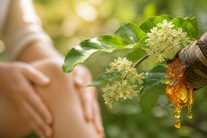 découvrez les bienfaits du boswellia, une plante naturelle reconnue pour ses propriétés anti-inflammatoires et ses vertus apaisantes, idéale pour soulager douleurs et inflammations naturellement.
